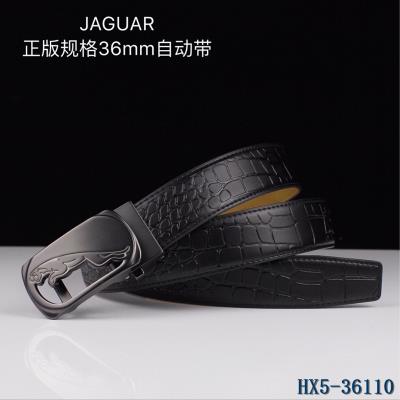 JAGUAR Belts-3